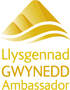 Gwynedd Ambassador