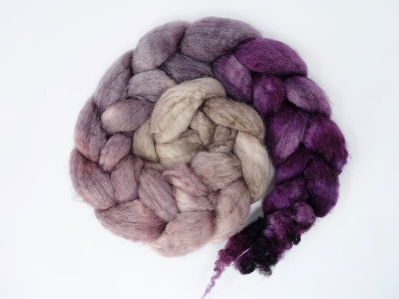 Beige to Purple hand dyed gradient fiber