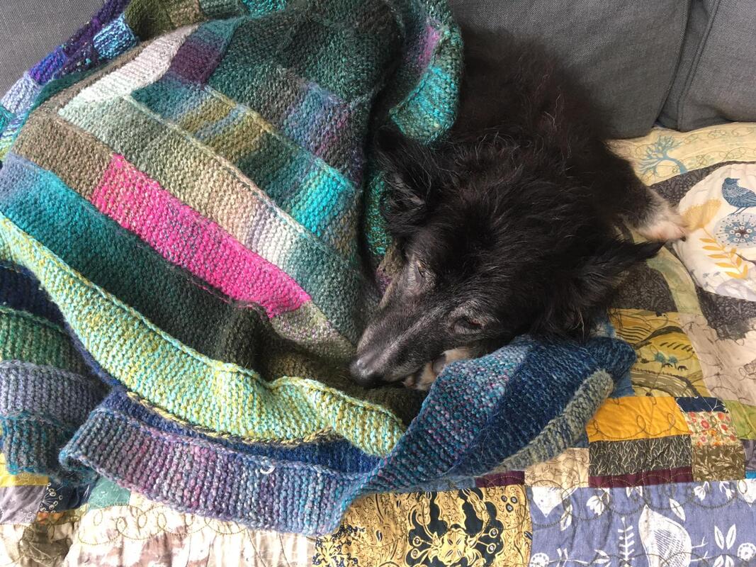 A black dog curled up, resting her head on her paw. She's covered with a 10 stitch, spiral knitted blanket in garter stitch. The blanket uses shades of blue, green, purple and pink. 