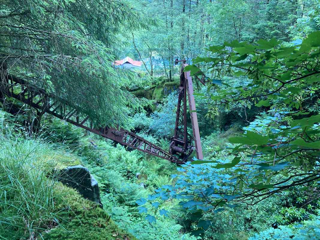 A rusty crane sits in a greenery filled hollow
